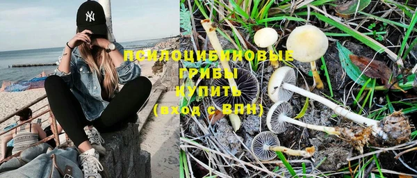 Альфа ПВП Верхний Тагил