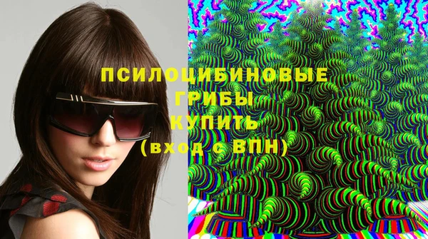 Альфа ПВП Верхний Тагил