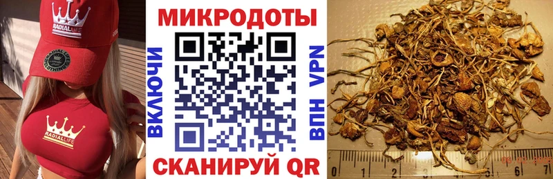 гидра вход  Зеленодольск  Галлюциногенные грибы Psilocybe 